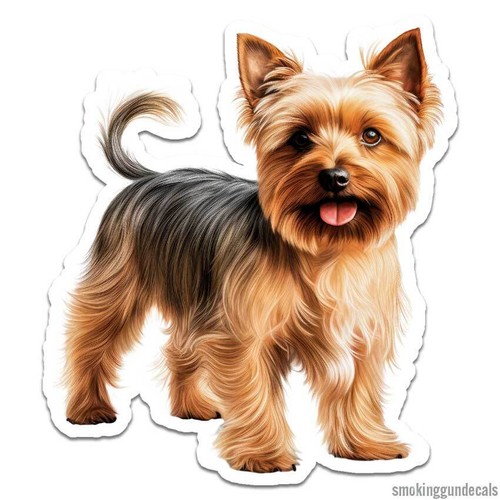 Silky terrier vinyl decal - silky, terrier,