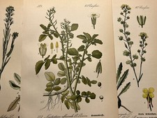 Illustration Pictures