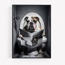 bathroom english bulldog on toilet Print Picture Poster Unframed A4 newspaper