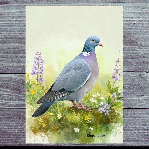 Photo magnet marigold - , dove