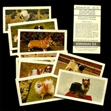 Horniman Tea Trade Card PETS -