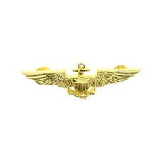 Gold Pilot Badge Aviator Fancy