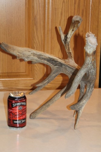 Droptine drop tine - droptine,