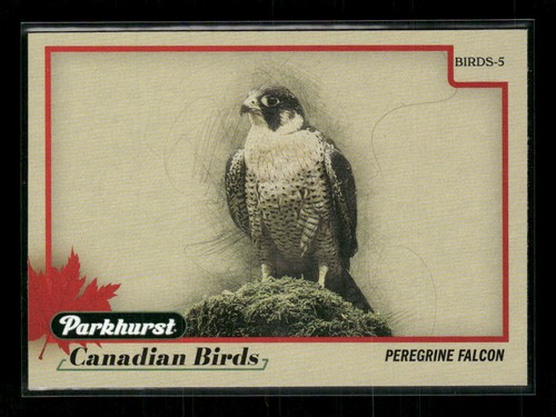 2025 parkhurst peregrine - 2025-26,