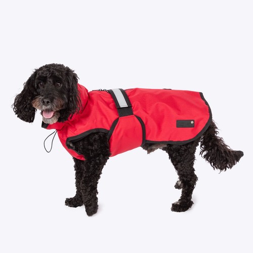 Danish design dog - design,