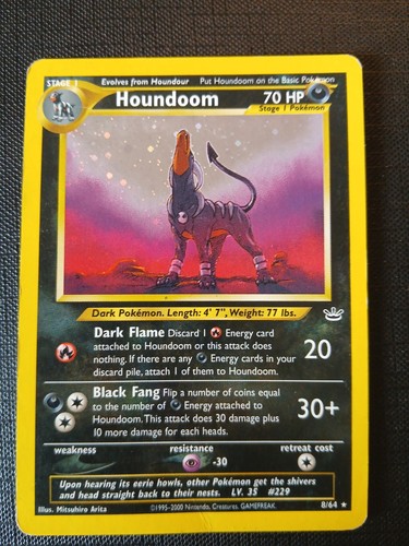 Neo revelation houndoom - neo, shiny