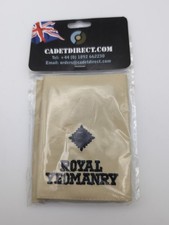 1 Pairs, Royal Yeomanry, Shoulder Rank Slides, Epaulettes, Badges