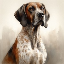 POINTER DOG Watercolour ART