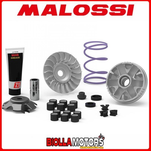 5118238 variator malossi - 5118238,