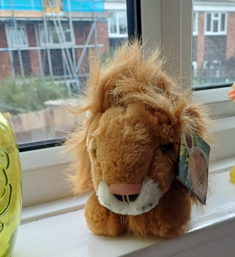 Lion cuddly toy - lion,