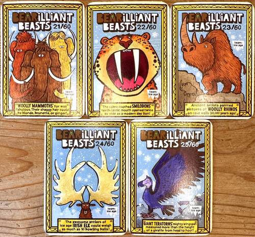 Yoyo bear bearilliant - yoyo,