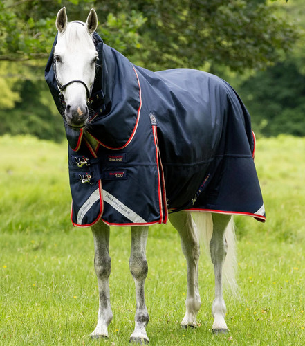Premier equine buster 100g - premier,