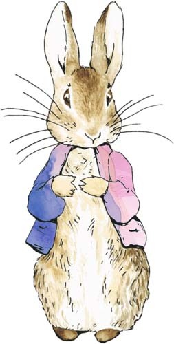 Peter rabbit watercolour - rabbit, wall