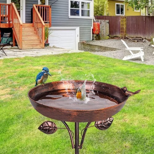 Outdoor garden courtyard bird - garden,