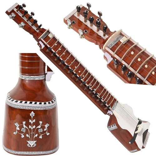 Professional dilruba musical - professional,