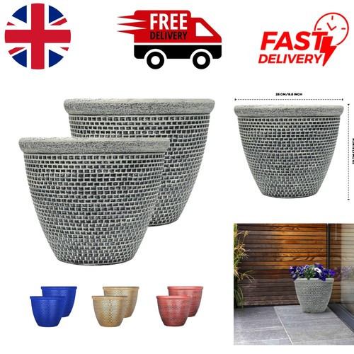 Weather resistant round plant - weather-resistant,