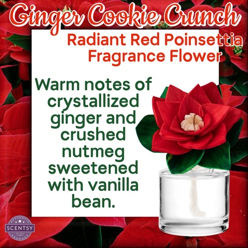 Scentsy ginger cookie crunch - scentsy,