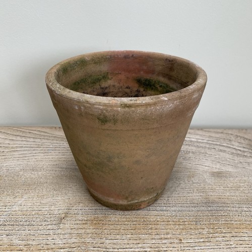 Aged terracotta plant pot - terracotta,