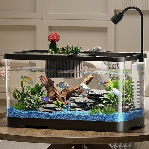 Fish tank starter kit - fish, with