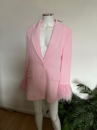 Zara woman nwt ss25 - woman, feather