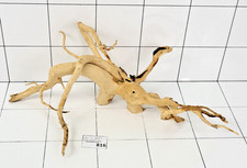 Premium aquarium natural - aquarium, wood