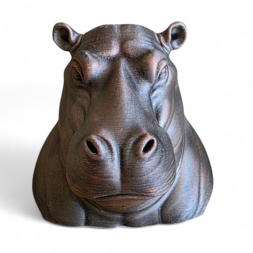 Hippopotamus head bust - hippopotamus,