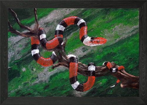Milk snake framed wall art - wall,