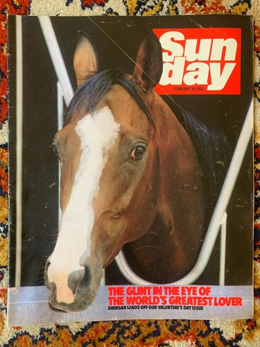Vintage sunday magazine - vintage,