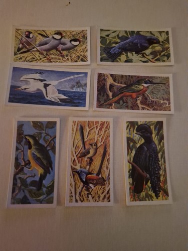 Brooke bond tropical birds - brooke,