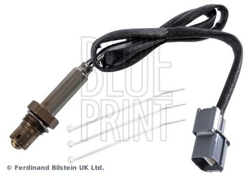 Blue print adbp700043 - blue,