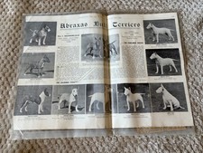 Rare 1949 dog - dog, world