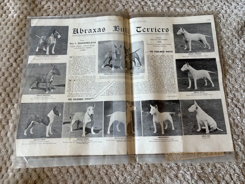 Rare 1949 dog world annual - rare,