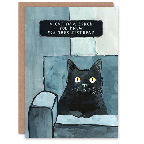 Moggie couch fun - in,