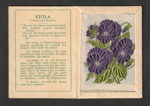 Kensitas wix silk - wix, flower