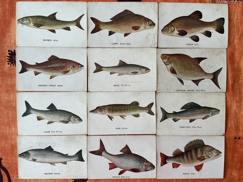 Tuck milwards record - "record, fish"