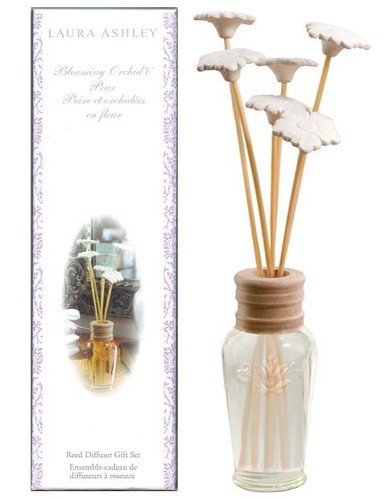 Laura ashley blooming - laura, orchid