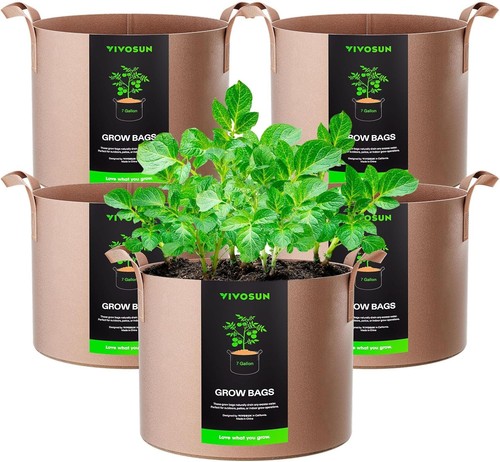 Vivosun pack gallons grow - vivosun, 5-pack