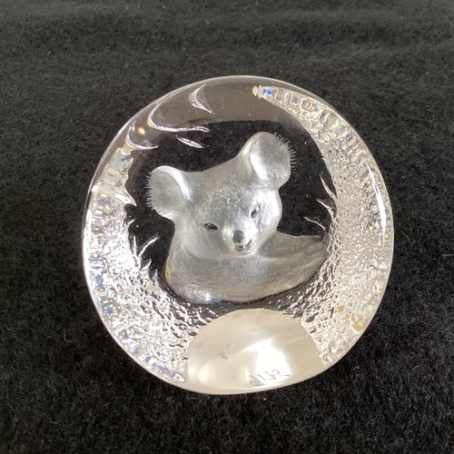 Mats jonasson koala - mats, ‘koala,’