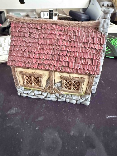 Painted wargaming medieval