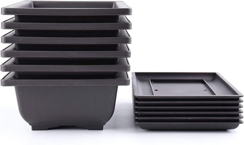 Bekith pack bonsai - pack,
