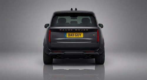 Ba11 guy private cherished - ba11,