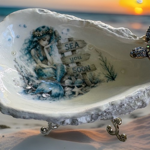 Oyster shell mermaid beach - oyster,