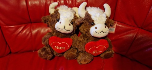 Highland cow plush toy - highland,