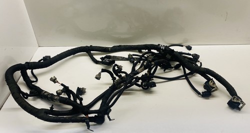 Engine wiring loom for - engine, ford