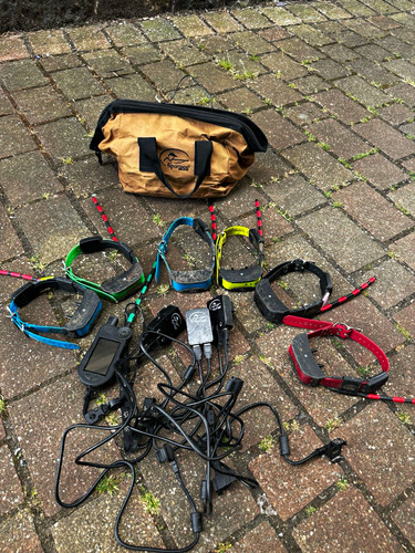 Sportdog tek collars and - sportdog,