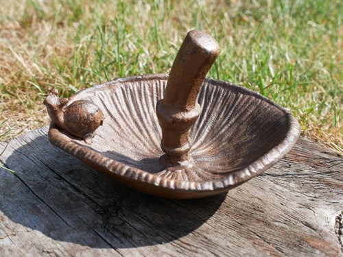 Metal mushroom bird feeder - bird,