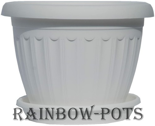 Coloured plastic plant pots - plastic,