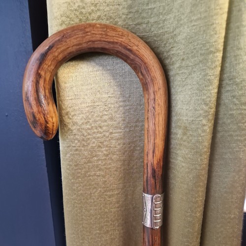 Antique walking stick silver - antique,