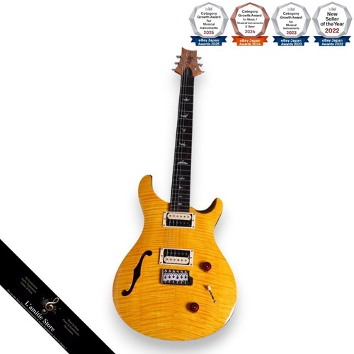 Prs custom22 semihollow - prs, se