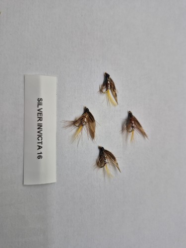 Silver invicta wet - wet, flies